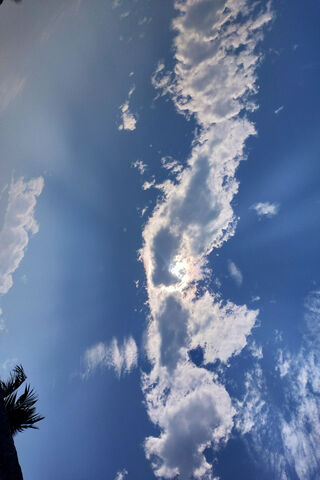 Endless Horizons: A Glimpse of Blue Sky 🌤️