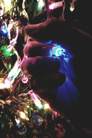 Twinkling Magic: A Hand's Embrace of Christmas Lights 🎄✨