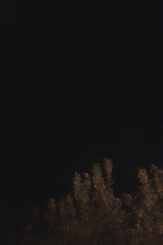 Cielo