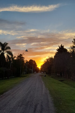 Calle: A Sunset Serenade 🌅