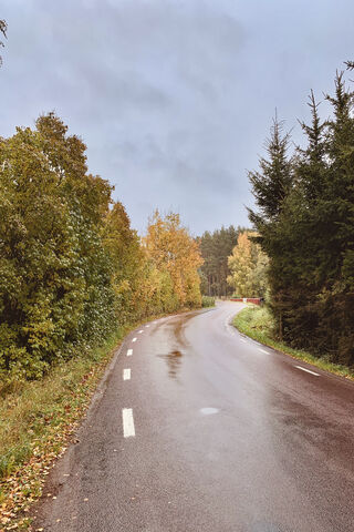 Autumn Serenity on Swedish Roads 🍂🚗