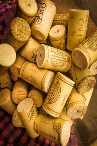 Cork Chronicles: The Story of Corchos 🍷✨