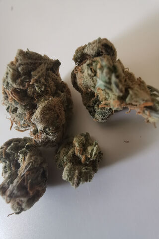 Nature's Green Treasure: Cannabis Delight 🌿✨