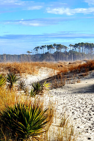 Calavera: Nature's Tranquil Canvas 🌿🌅