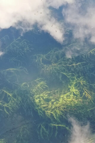 Reflections of Serenity: Clouds Over Lake W*d 🌥️🌊