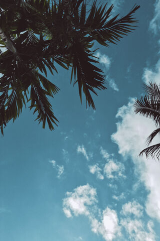 Cloud Watching