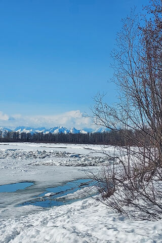 Denali's Majestic Winter Wonderland ❄️🏔️