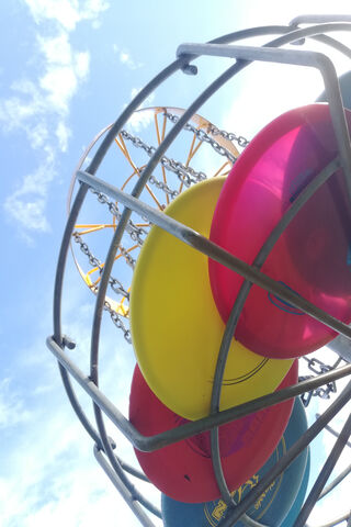 Catch the Fun: Disc Golf Delight! 🥏🌤️