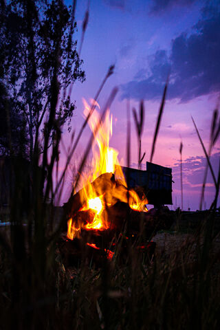 Embers of Twilight: The Flame of the Forest 🔥🌳