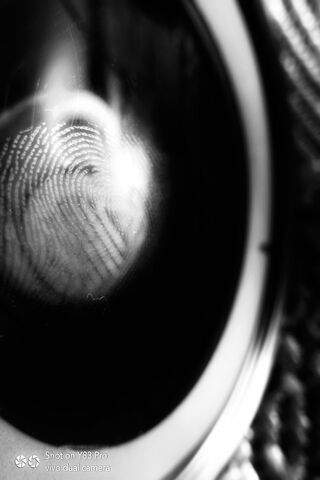 Finger Print