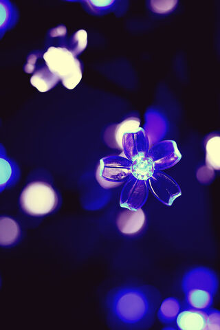 Blooming Night Lights 🌸✨