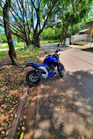 FZ25: The Urban Explorer 🏍️🌳
