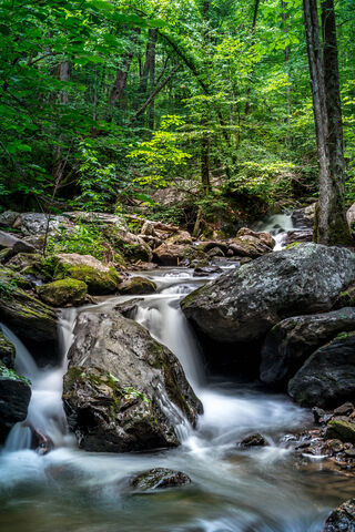 Whispering Waters: The Dance of Nature 🌫️💧
