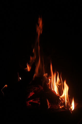 Dancing Flames: The Heart of Fuego 🔥