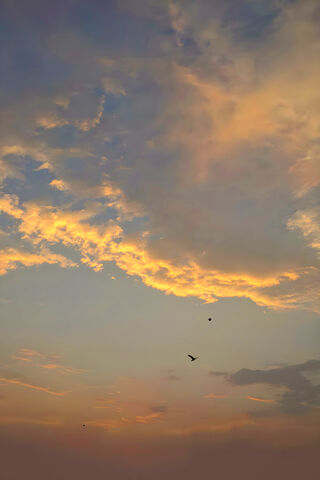 Gold Sky DC Technical