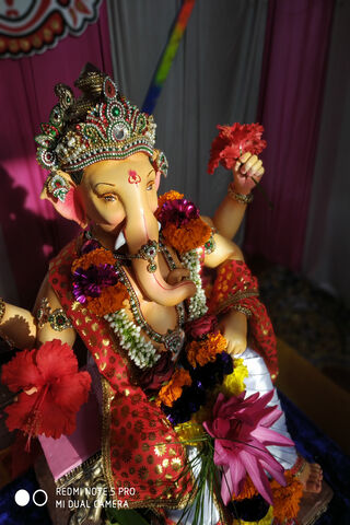 Divine Blessings of Ganeshji 🌺✨