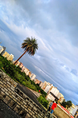 A Glimpse of Serenity 🌴✨