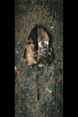 Nature's Art: The Grenade Leaf 🎨🍂
