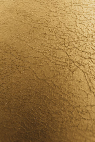 Golden Veins: Nature's Artistry