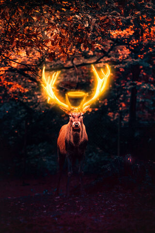 Radiant Majesty: The Golden Deer
