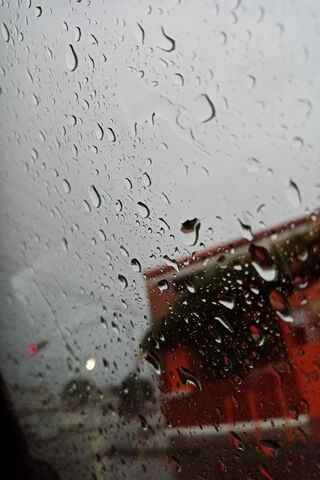 Raindrop Symphony: Nature's Melodic Dance
