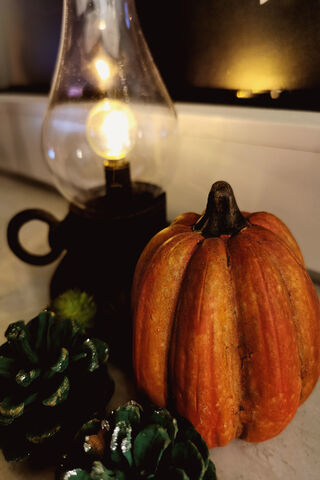 Cozy Autumn Evenings 🍂✨