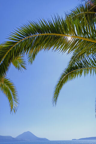 Serenity Under the Horizon Blue Sky 🌊🌴