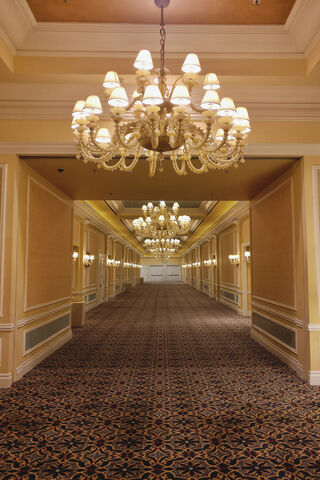 Elegant Pathways: A Journey Through the Hallway