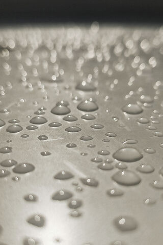 Glistening Drops: Nature's Artistry 💧✨