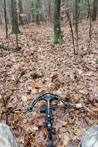 Quiet Moments in the Woods: A Hunter's Perspective 🎯🌲