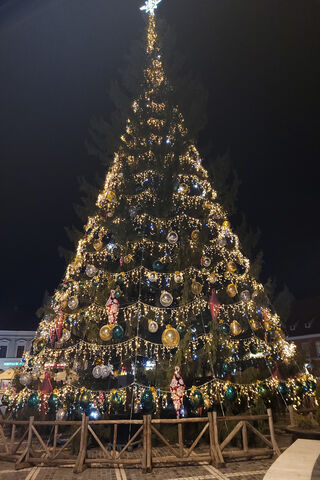 Festive Cheer at the Italian Restaurant 🎄✨