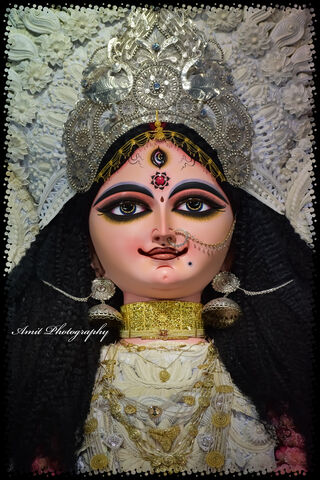 The Divine Grace of Jagadhatri Devi 🌺✨