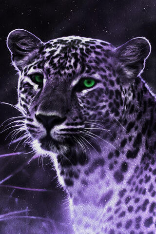 Kaplan: The Mystical Guardian of the Night 🌌🐆