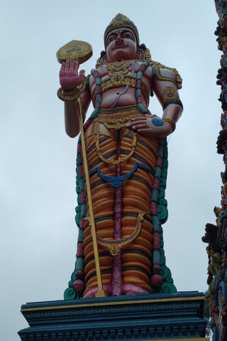 Majestic Guardian: The Lord of Protection 🌟