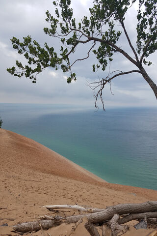 Solitude by the Shore 🌊🌵