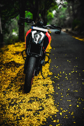 Lil Peep's Ride: A Journey Through Autumn