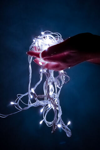 Twinkling Dreams ✨