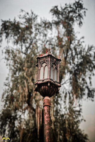 Gothic Glow: A Timeless Lamp Post