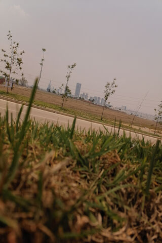 Beyond the Urban Horizon 🌆🌿