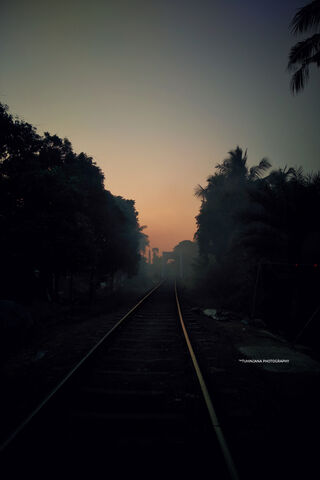 Whispers of the Forgotten Tracks