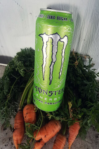 Monster Energy