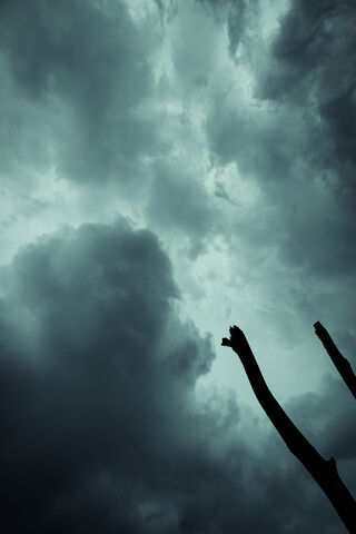 Whispers of the Monsoon: Nature's Dramatic Canvas
