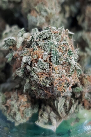 Nature's Green Wonder: The Essence of Marijuana 🌿✨