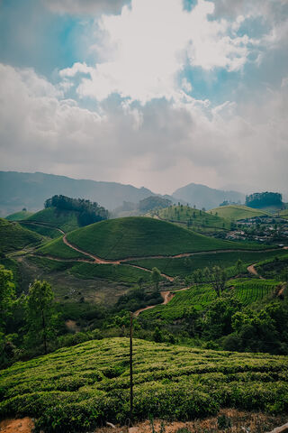 Munnar: A Green Paradis..