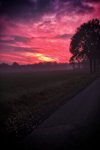 Twilight Serenity: Nature's Canvas 🌅