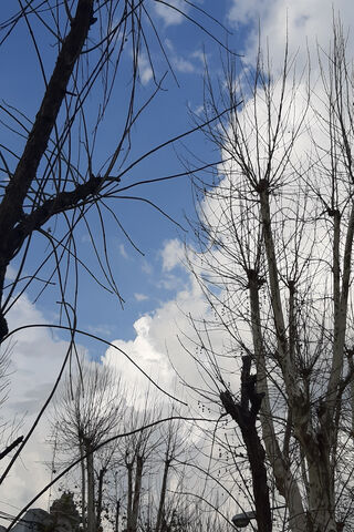 Naturaleza