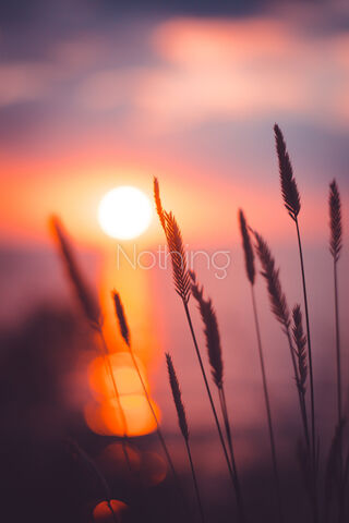 Nothing #3