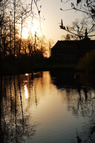 Serenity at Dusk 🌅