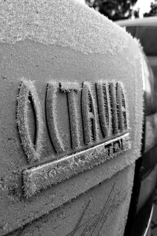 Frosty Elegance: The Octavia's Winter Veil ❄️🚗