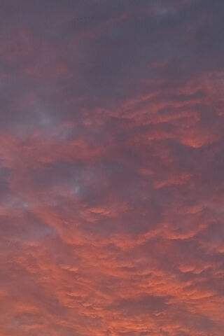 Sunset Serenade: A Dance of Colors